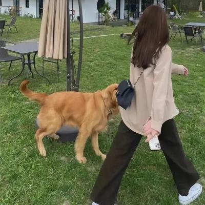 少年锦衣卫第二季